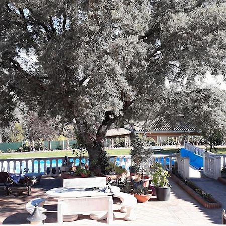 Lovely Home, Cozy Corner In El Bosque, Madrid. วิลยาวิซิโอซา เด โอดอน ภายนอก รูปภาพ